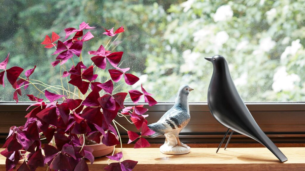 Eames-House-Bird-Ambiente2